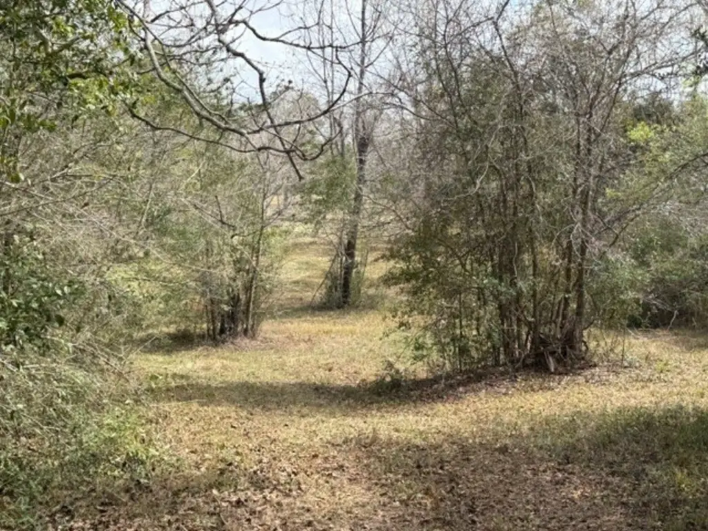 Picture 15