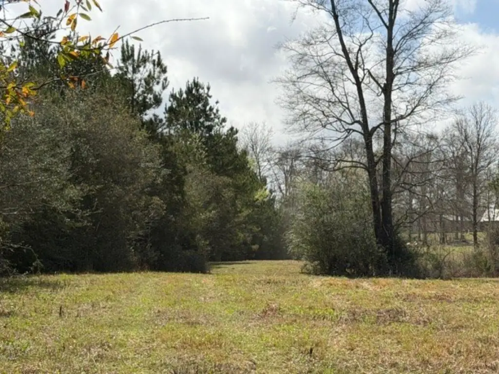 Picture 29
