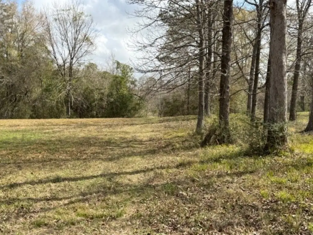 Picture 16