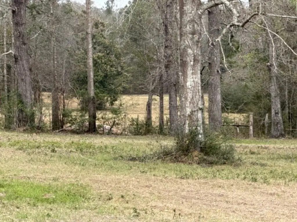 Picture 21
