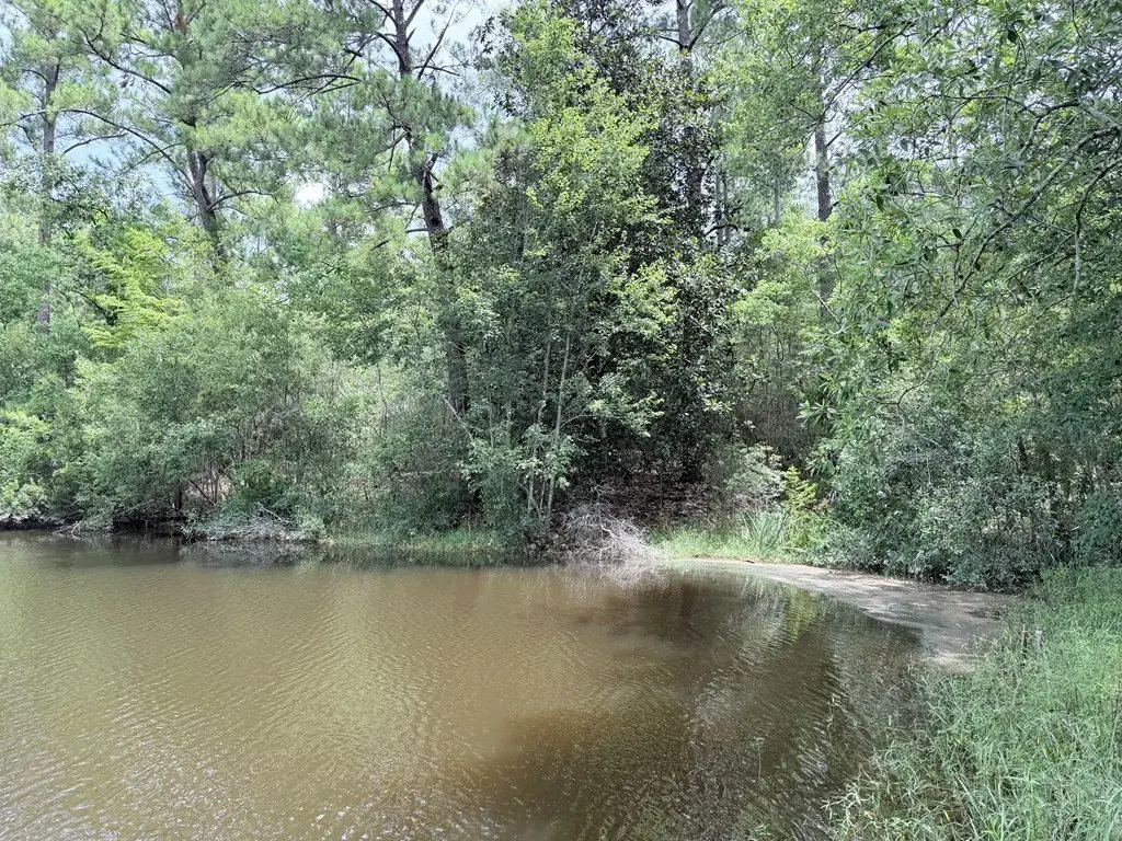 Picture 2