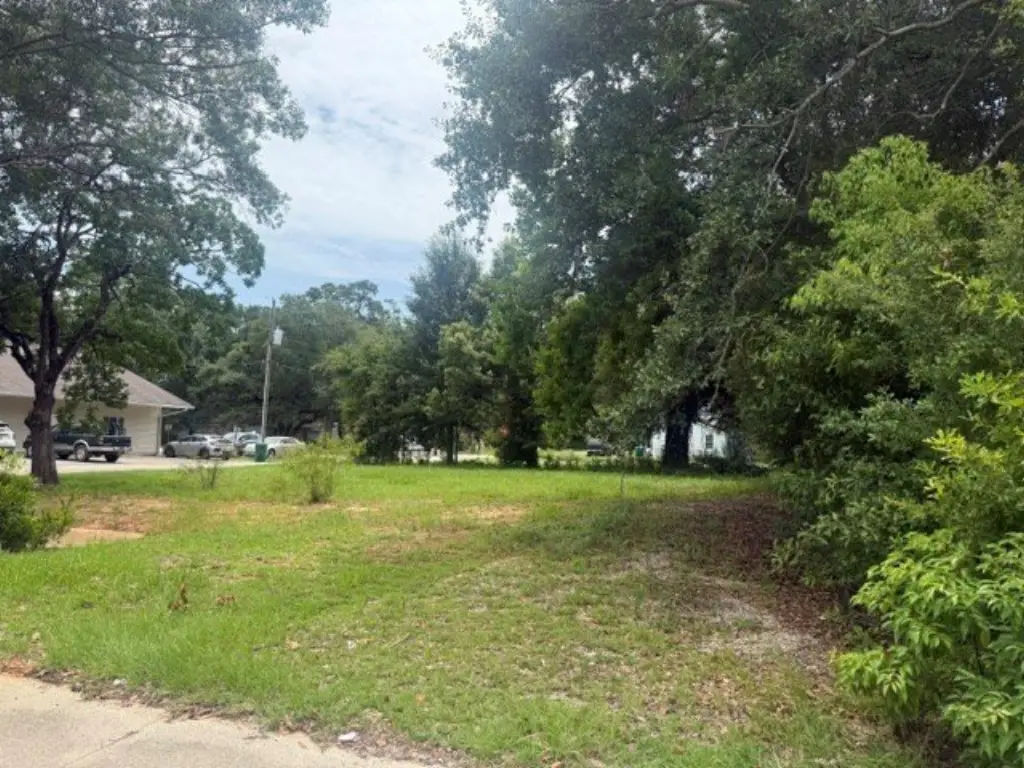 Picture 6