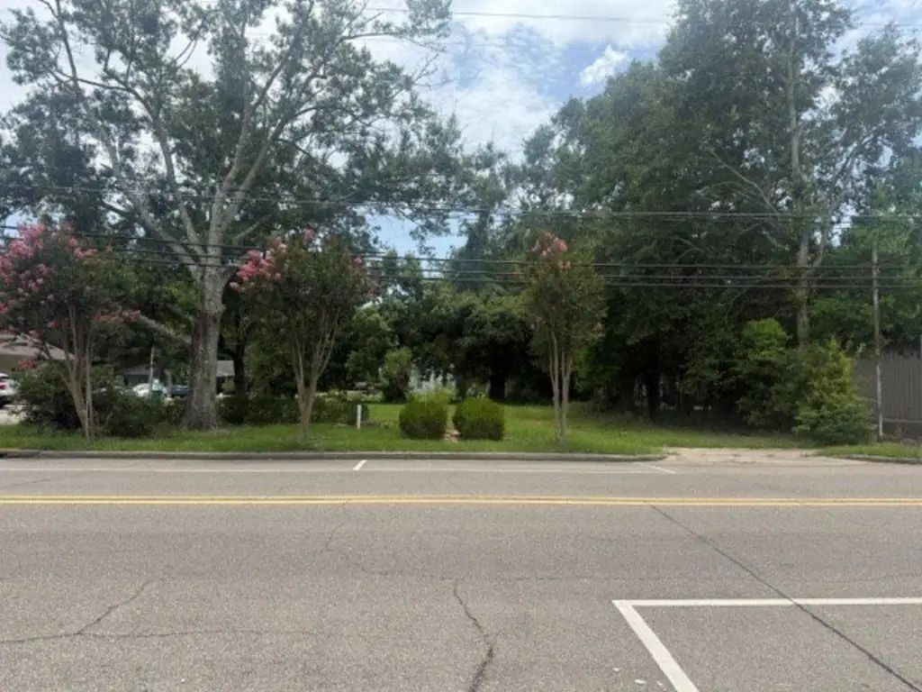 Picture 7