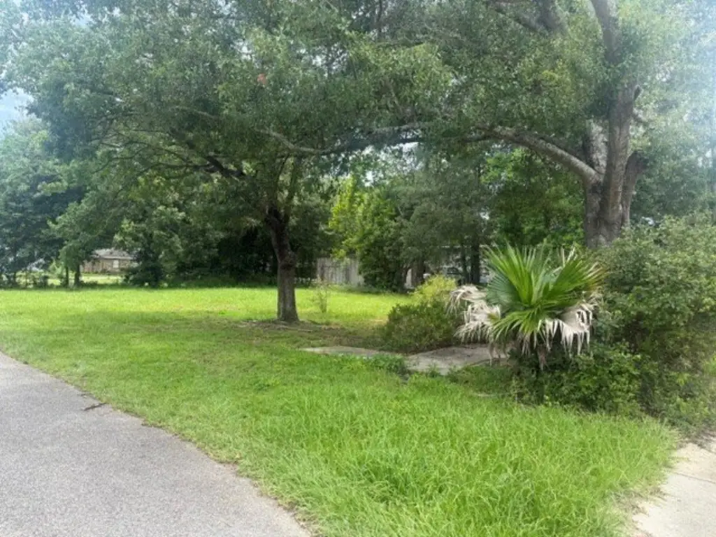 Picture 2