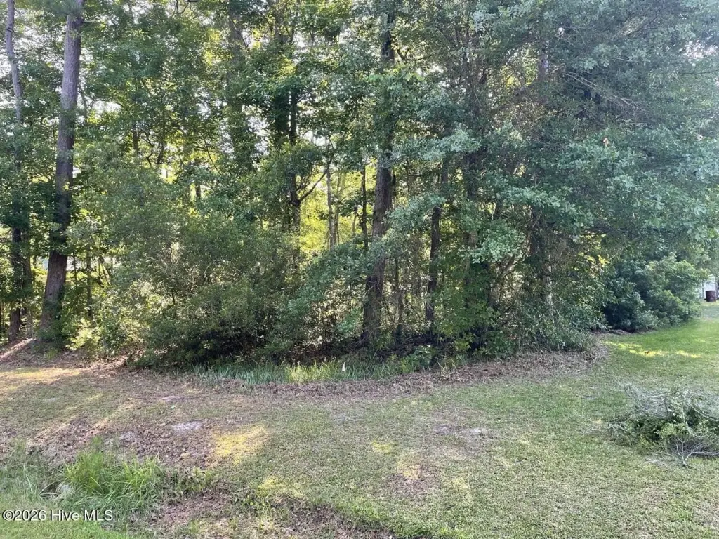 Picture 25