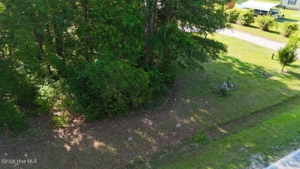 Picture 4