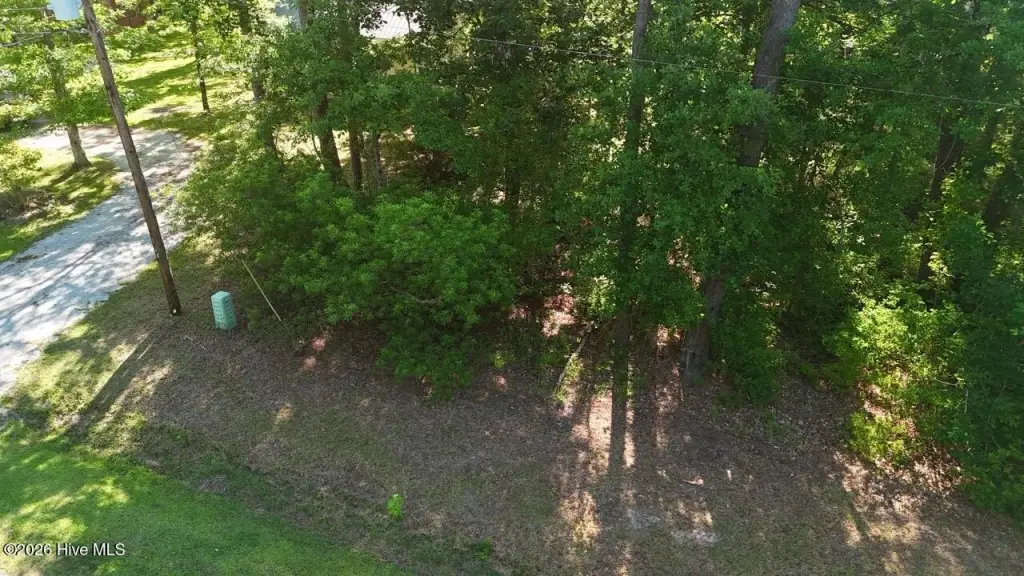Picture 3
