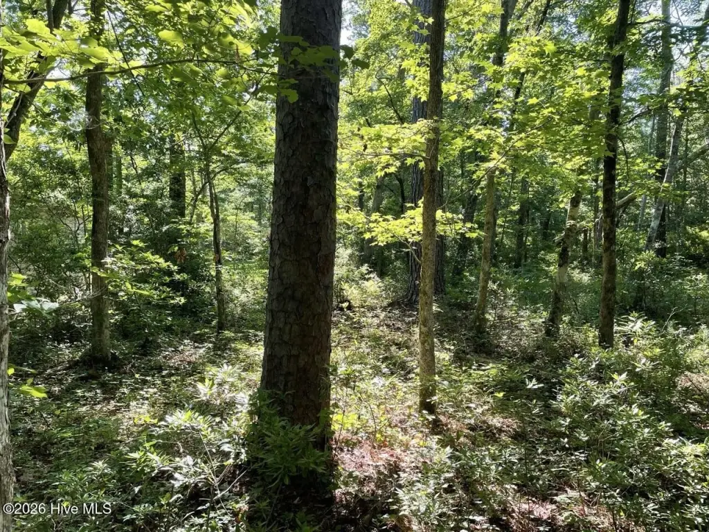 Picture 19