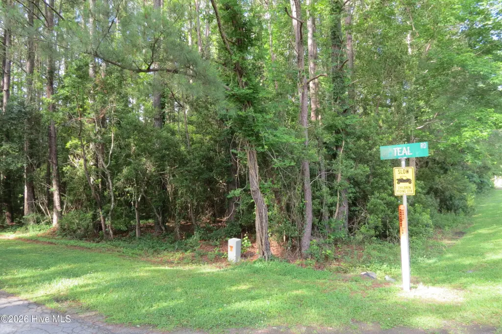 Picture 2