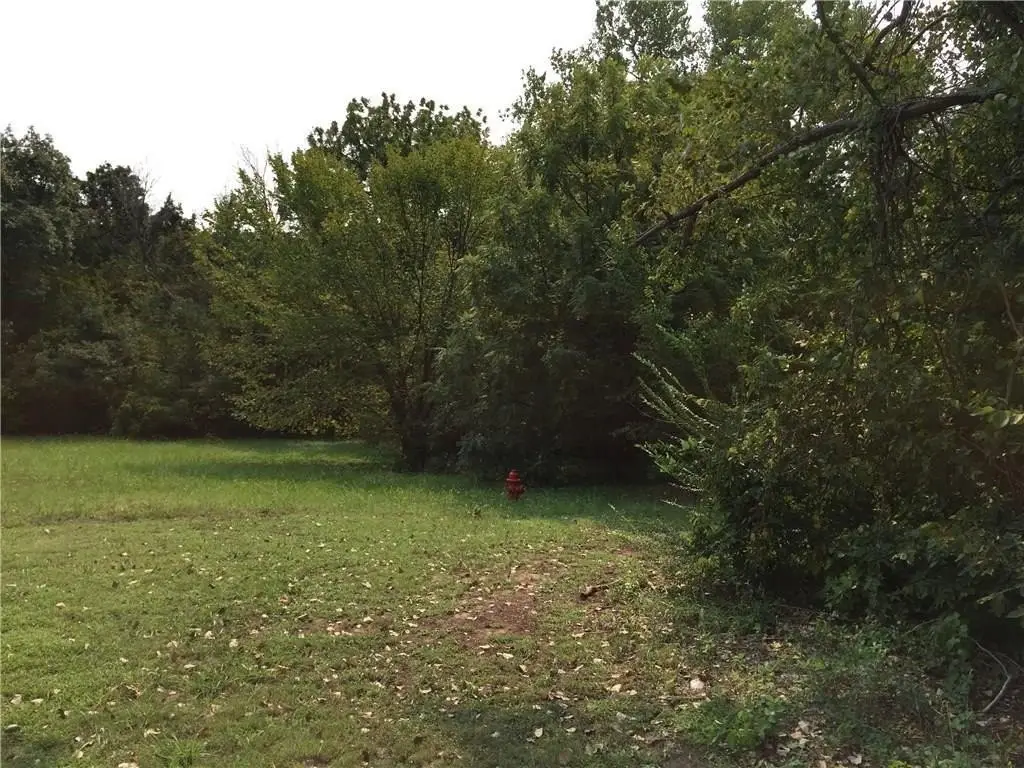 Picture 6