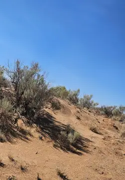 Los Lunas Land with Views