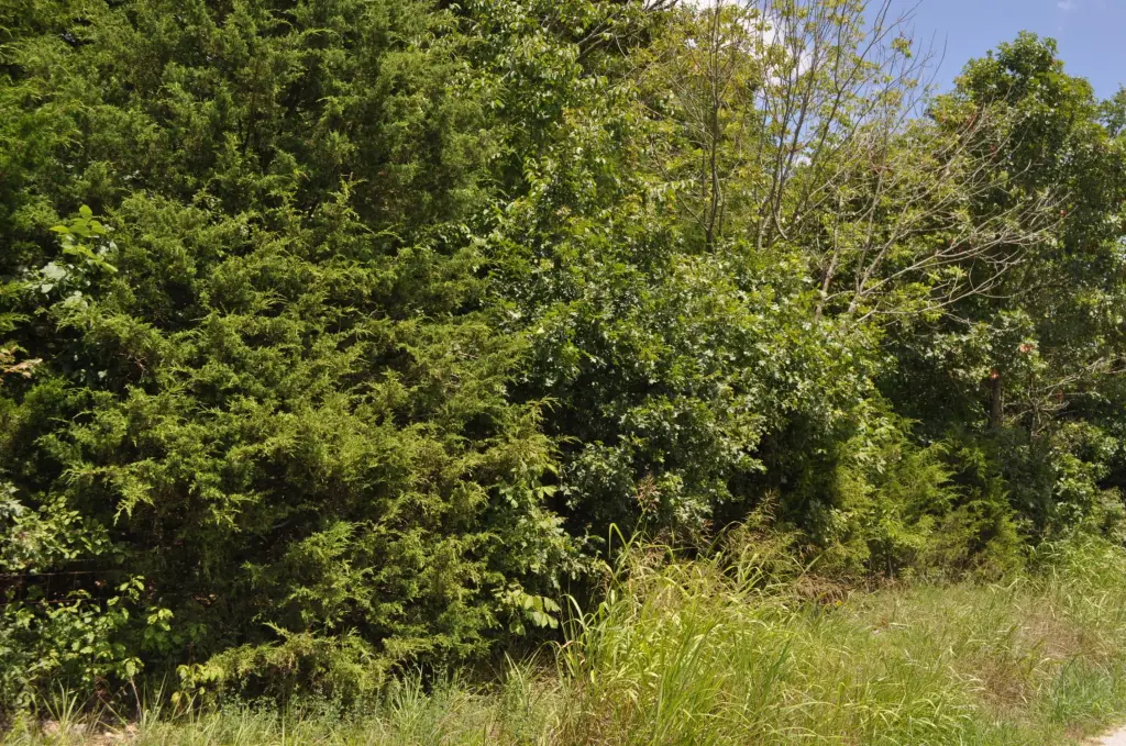 Picture 4