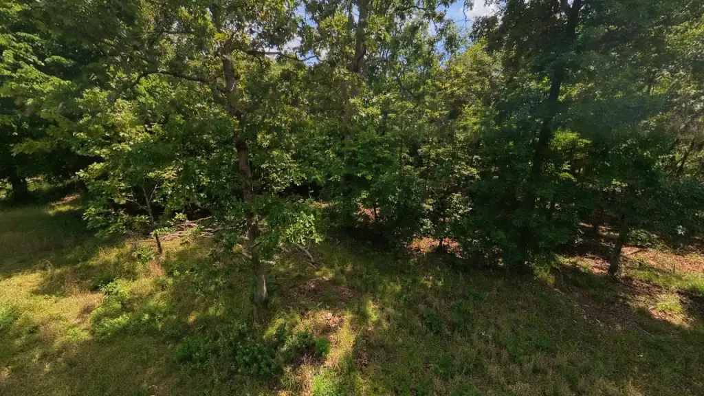 Picture 48