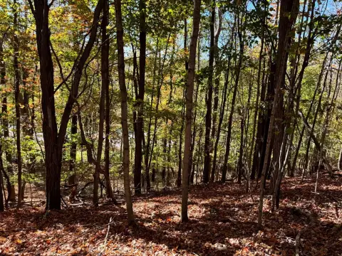 2.5 Acres Vacant Land, New Berlin