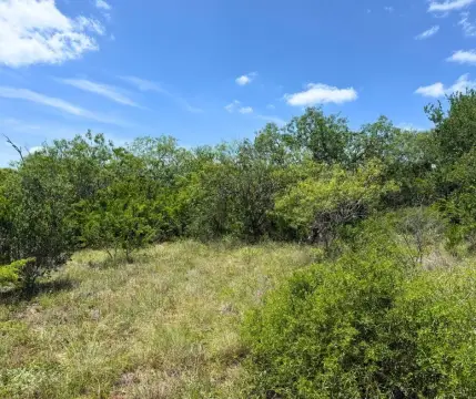 Secluded South Texas Acreage