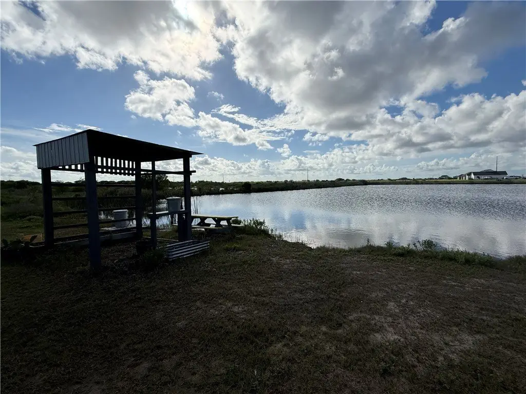 Picture 6
