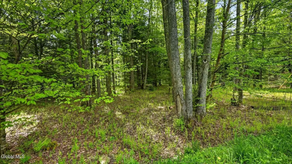 Picture 19