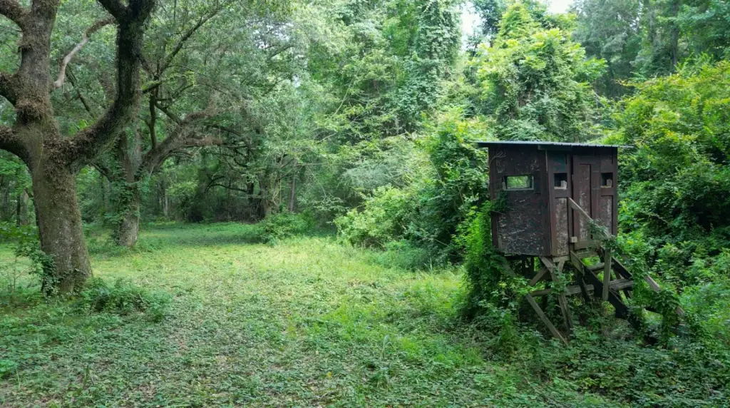 Picture 4