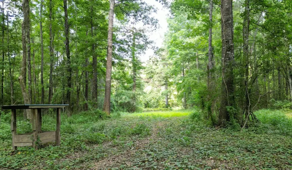 Picture 15