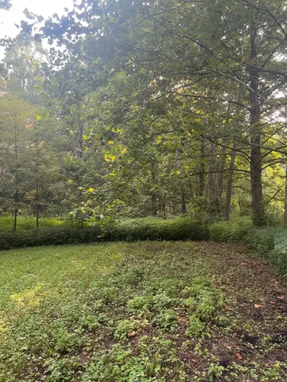 Picture 16