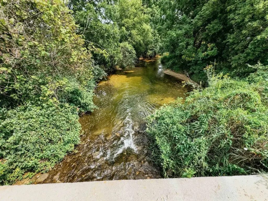 Picture 23