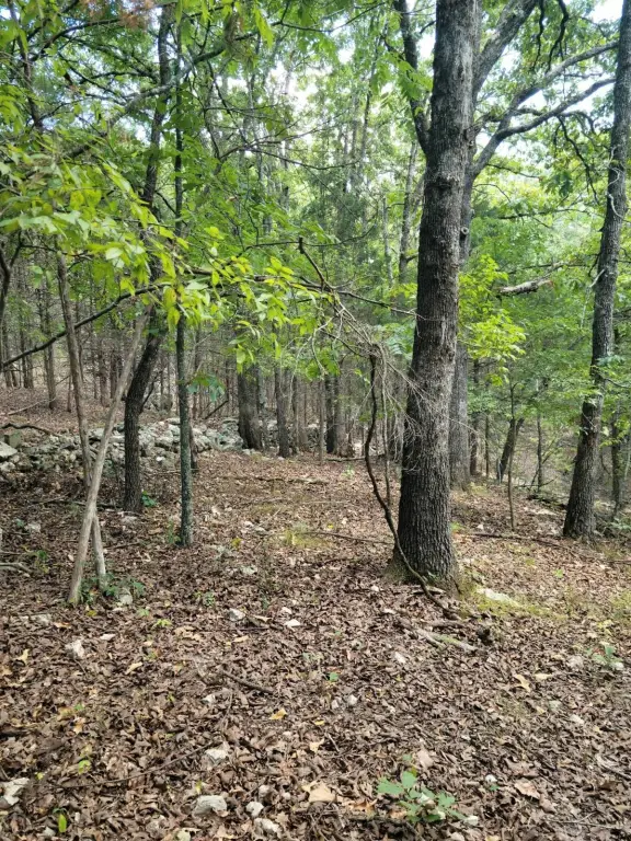 Picture 44