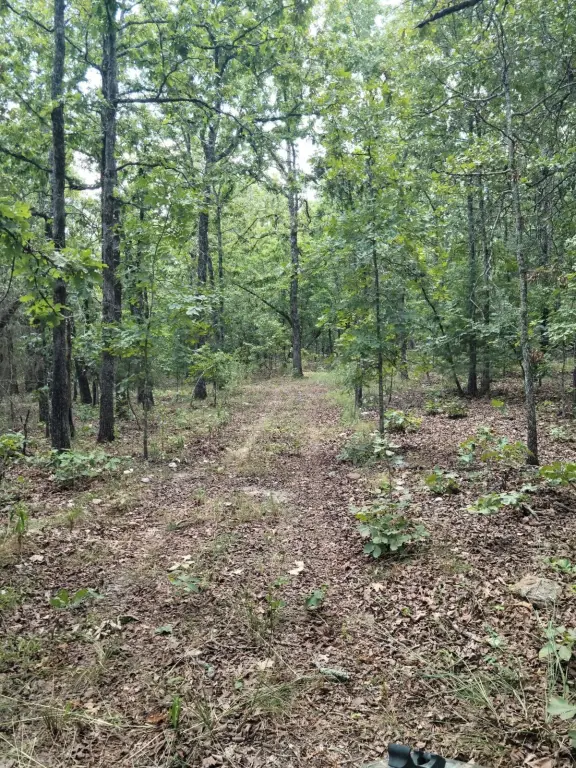 Picture 19