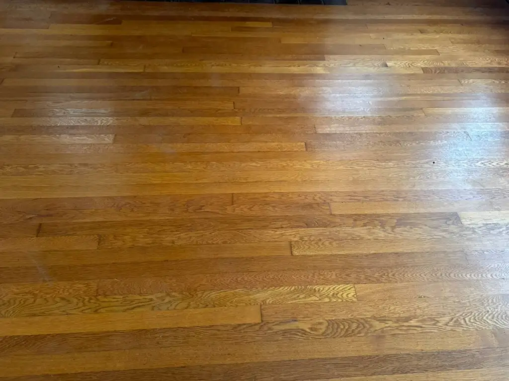 Picture 4
