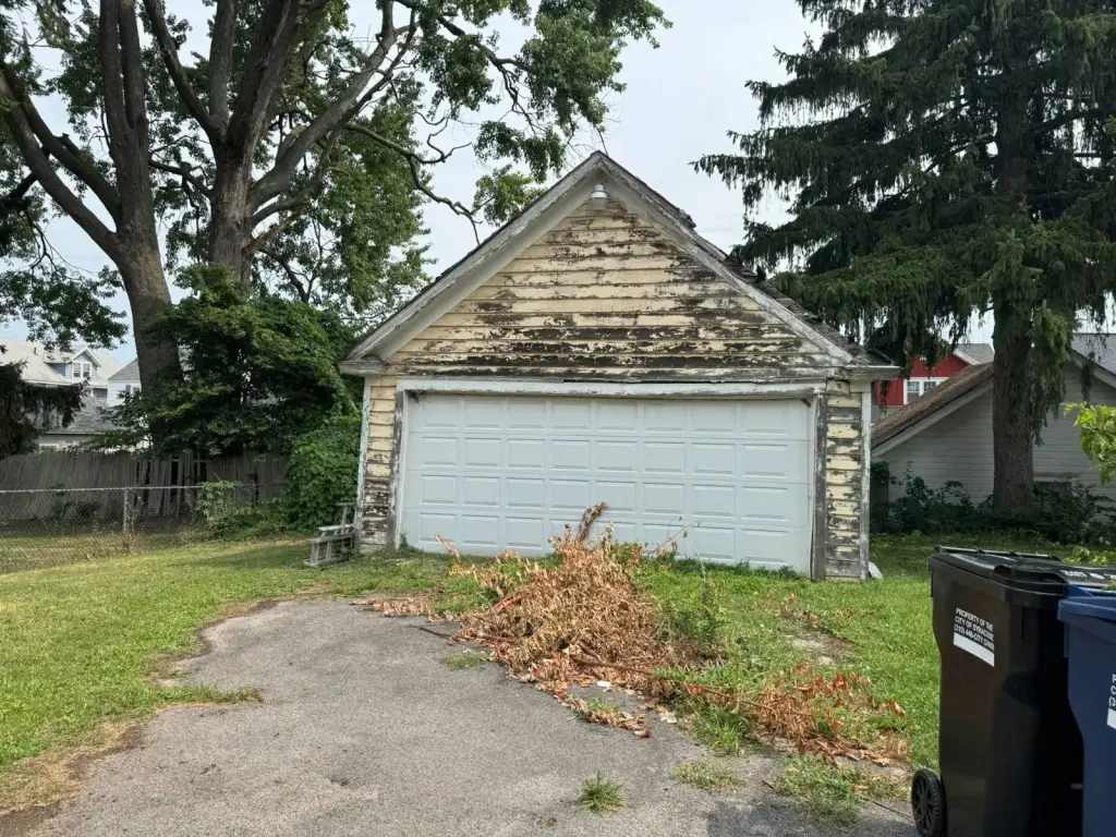 Picture 22