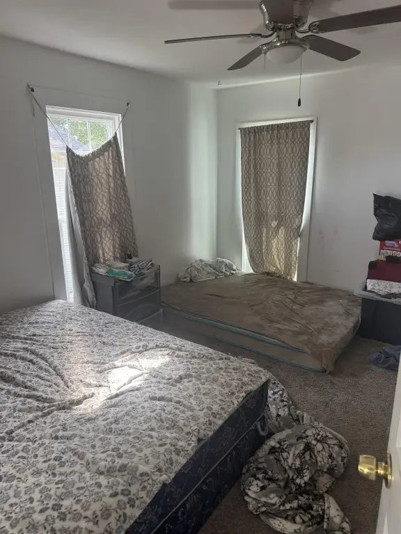 Picture 19