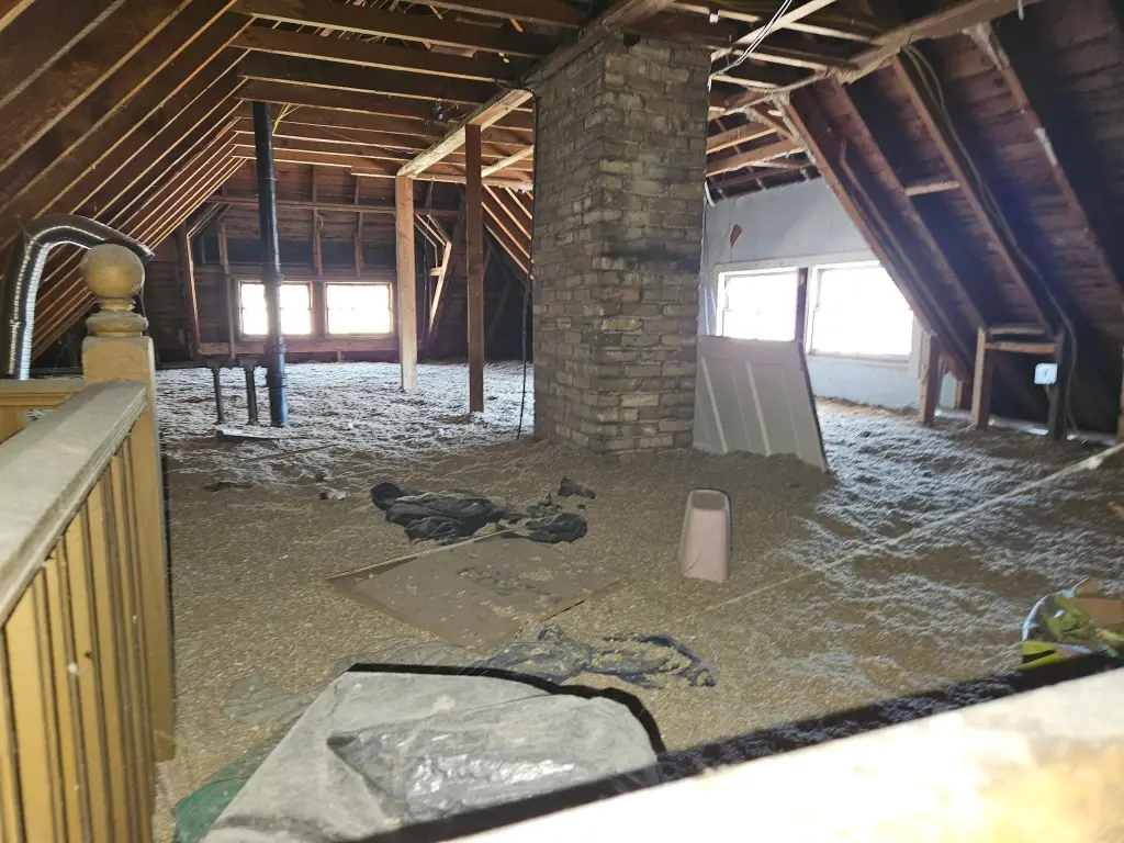 Picture 41