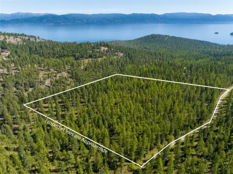 Lakeside Wooded Land Opportunity