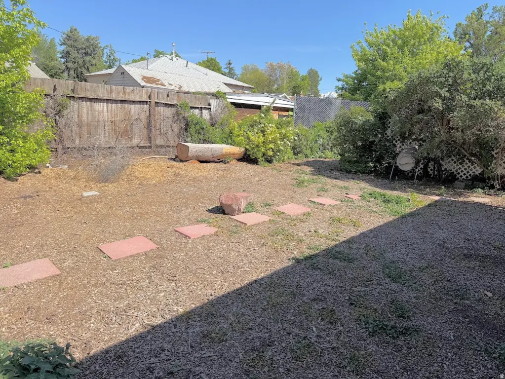 Picture 21