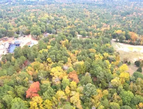 5-Acre Vacant Land in Gladewater