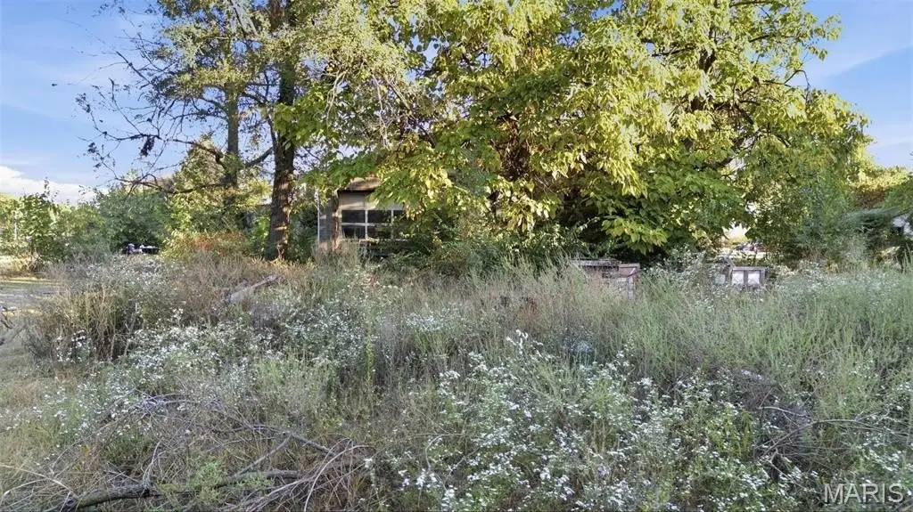 Picture 18