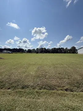 Residential Lot in Tignall, GA