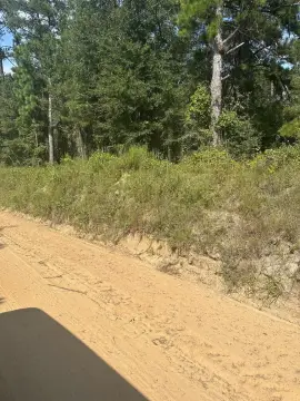 Wooded Building Lot in Thomson