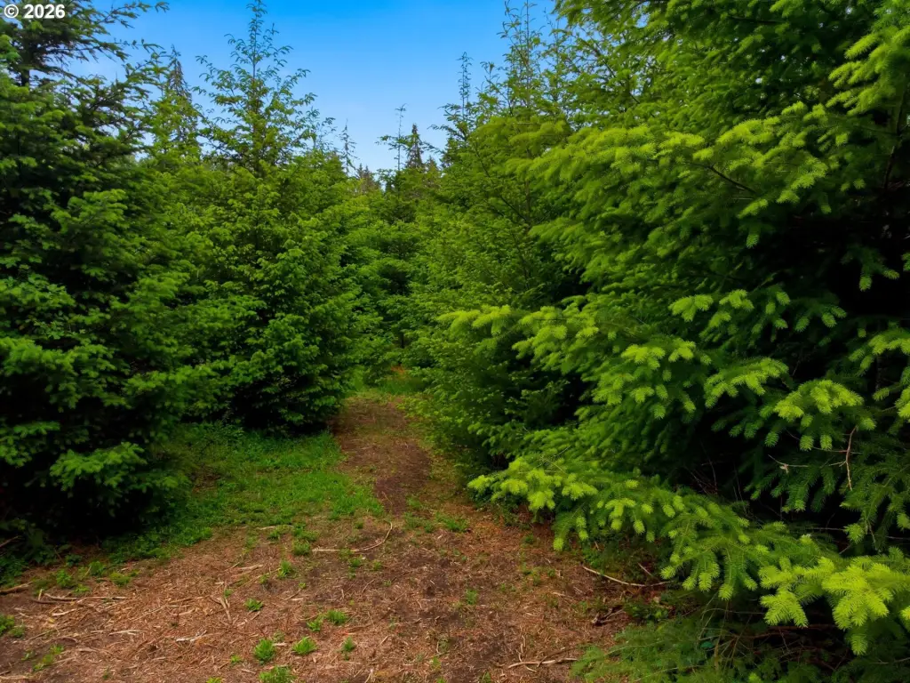 Picture 7