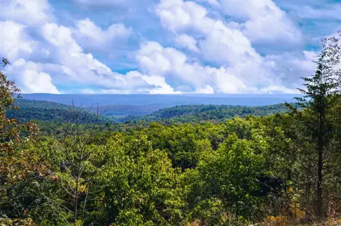 170+ Acres of Bushkill Land