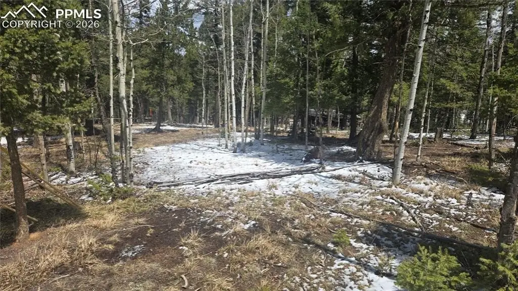 Picture 3