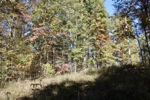 10 Acres Wooded Land Tract