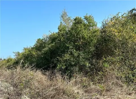 Aransas Pass Land Investment Opportunity