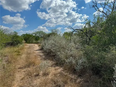 Unrestricted Land in George West, TX