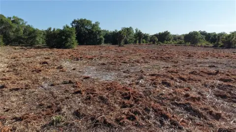 Cleared Agricultural Land Parcel