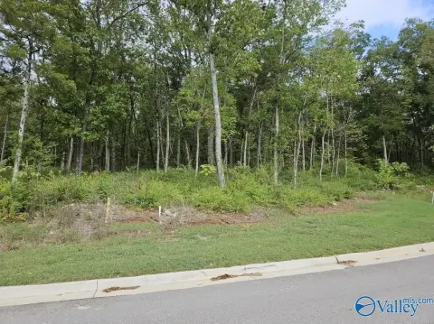 Huntsville Wooded Lot Near Medical