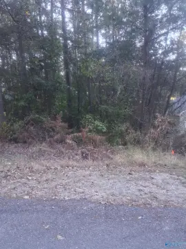 Residential Lot in Hokes Bluff