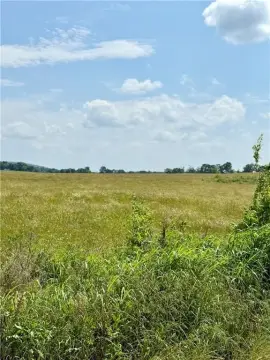 20 Acres of Open Pasture