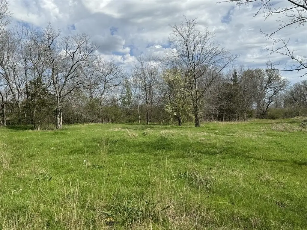 Picture 12