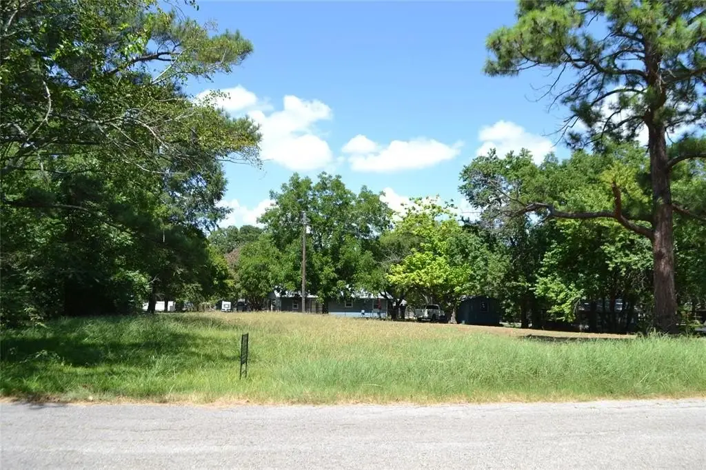 Picture 8