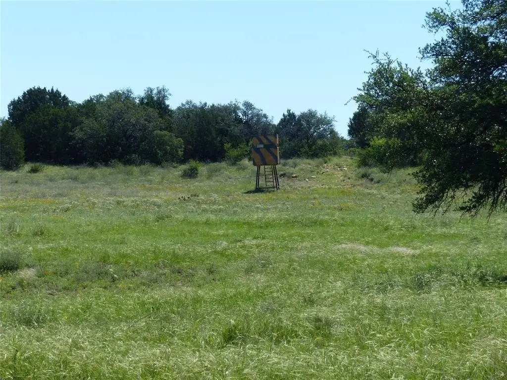 Picture 4